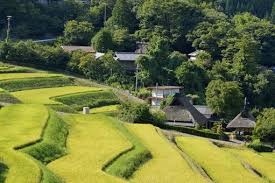 自然あふれる能勢町の風景